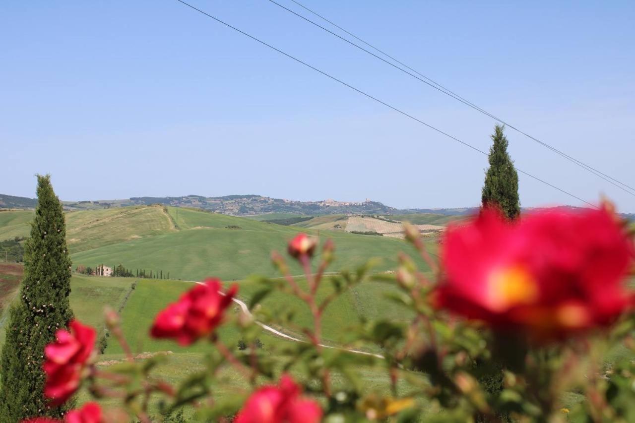 Agriturismo La Paciarella Campiglia d'Orcia Exterior photo