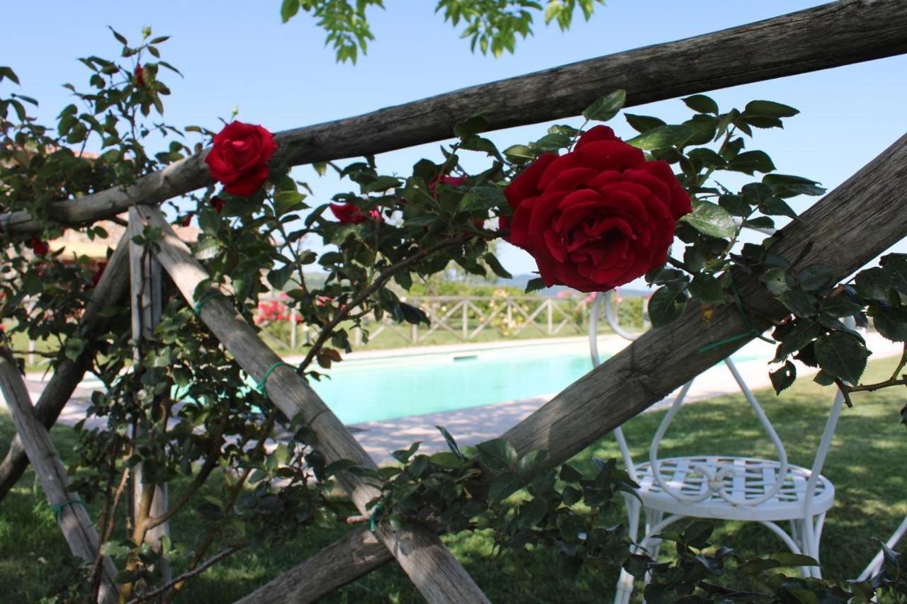 Agriturismo La Paciarella Campiglia d'Orcia Exterior photo