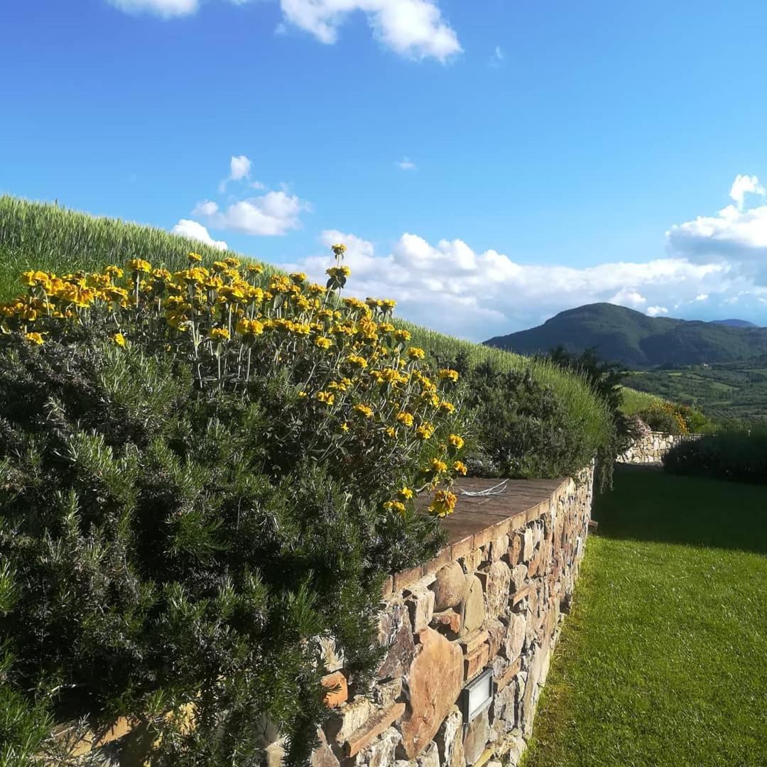 Agriturismo La Paciarella Campiglia d'Orcia Exterior photo